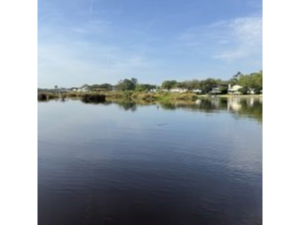 Avondale by water